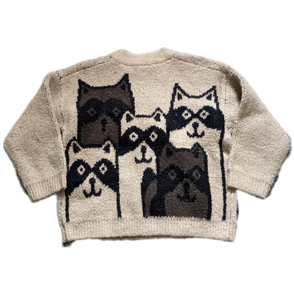 NWT ZARA Raccoon Boys Sweater - Picture 2 of 4
